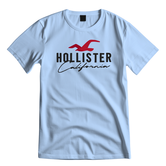 Hollister 2